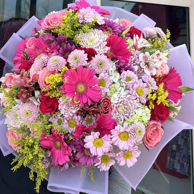 Bloom